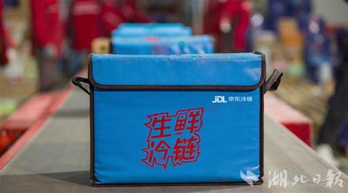 從“拼速度”到“比綠色” 湖北快遞業(yè)以5300萬(wàn)舊紙箱復(fù)用刷新環(huán)保標(biāo)桿